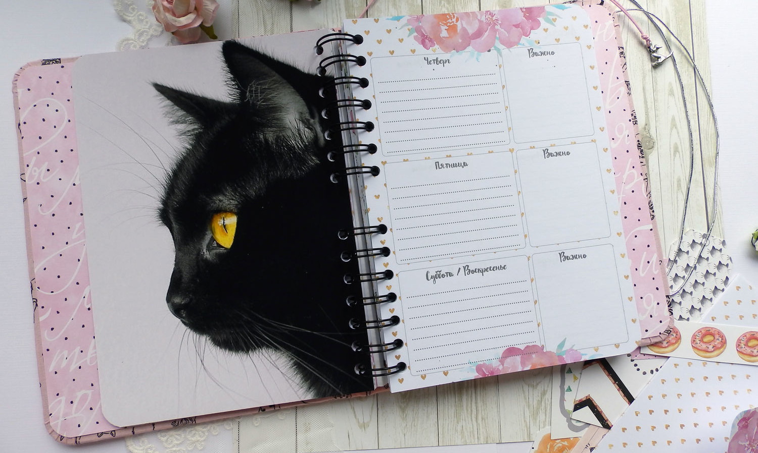 Курганским ученикам запретили покупать дневники с котятами