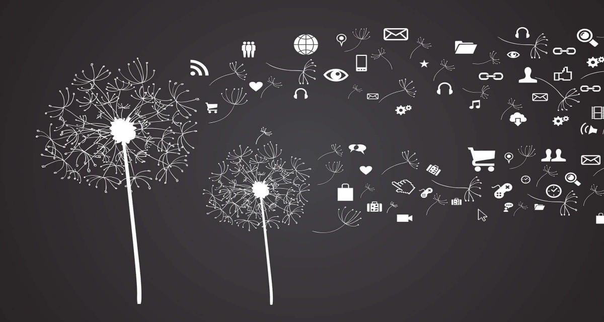 Что произошло в образовательной политике с 2 по 9 октября 2022 года