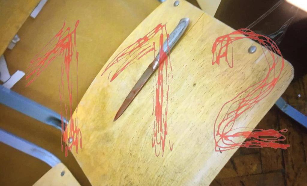 «Вернулась в класс, держа окровавленный нож»