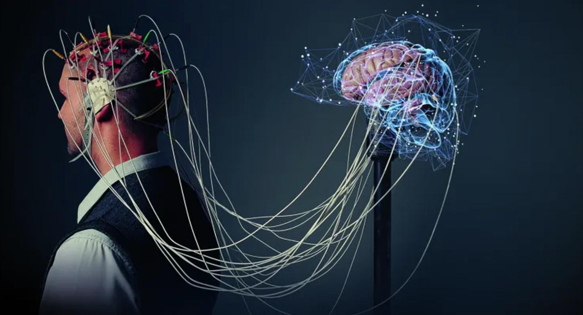 Нейросеть научили читать мысли человека с точностью до 80%