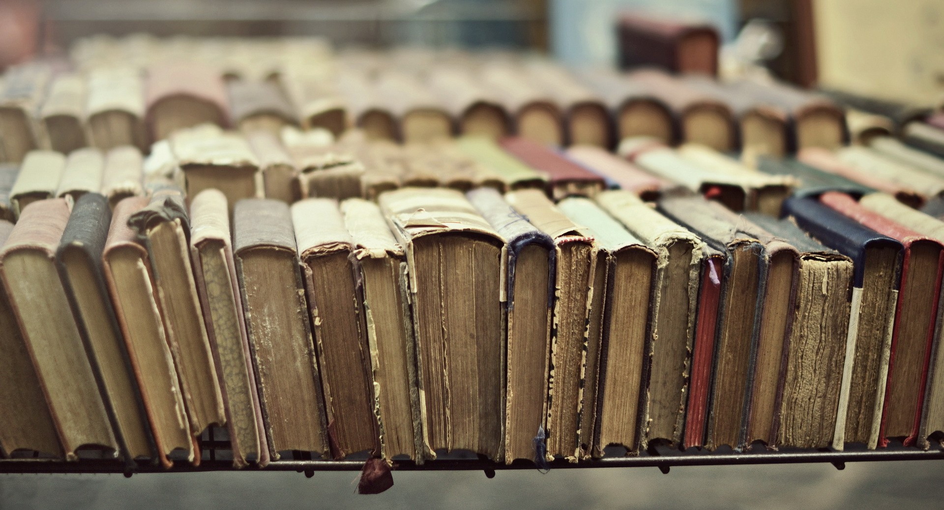 Минобрнауки разработает для вузов учебник истории с разделом об СВО