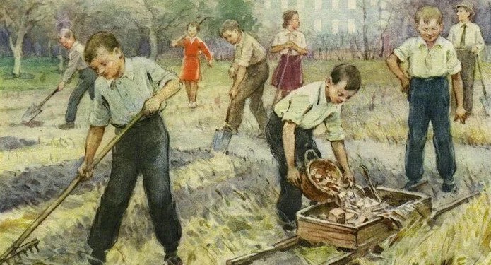 Госдума приняла в первом чтении законопроект о трудовом воспитании школьников