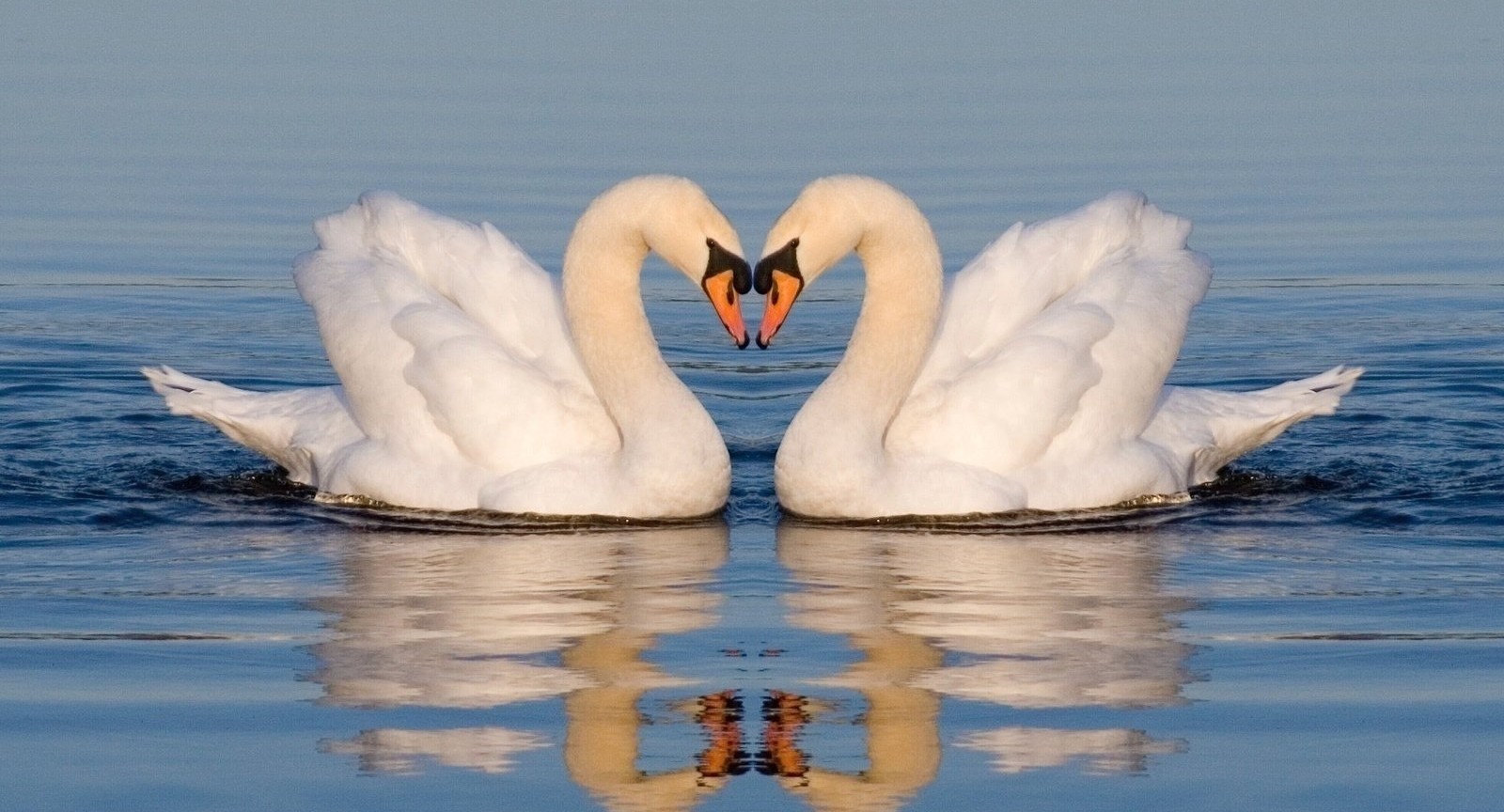 ​Уважение, любовь и верность: семья педагогов Васиных поделилась секретами семейного счастья