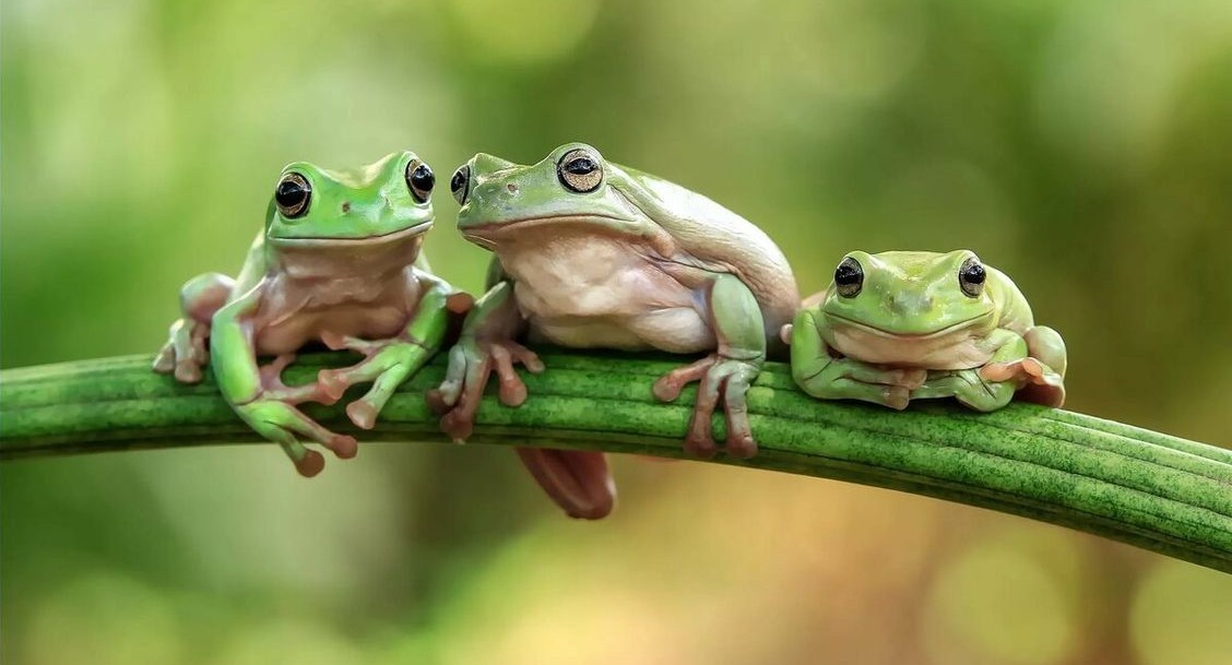 Исследуем мир глазами ребенка