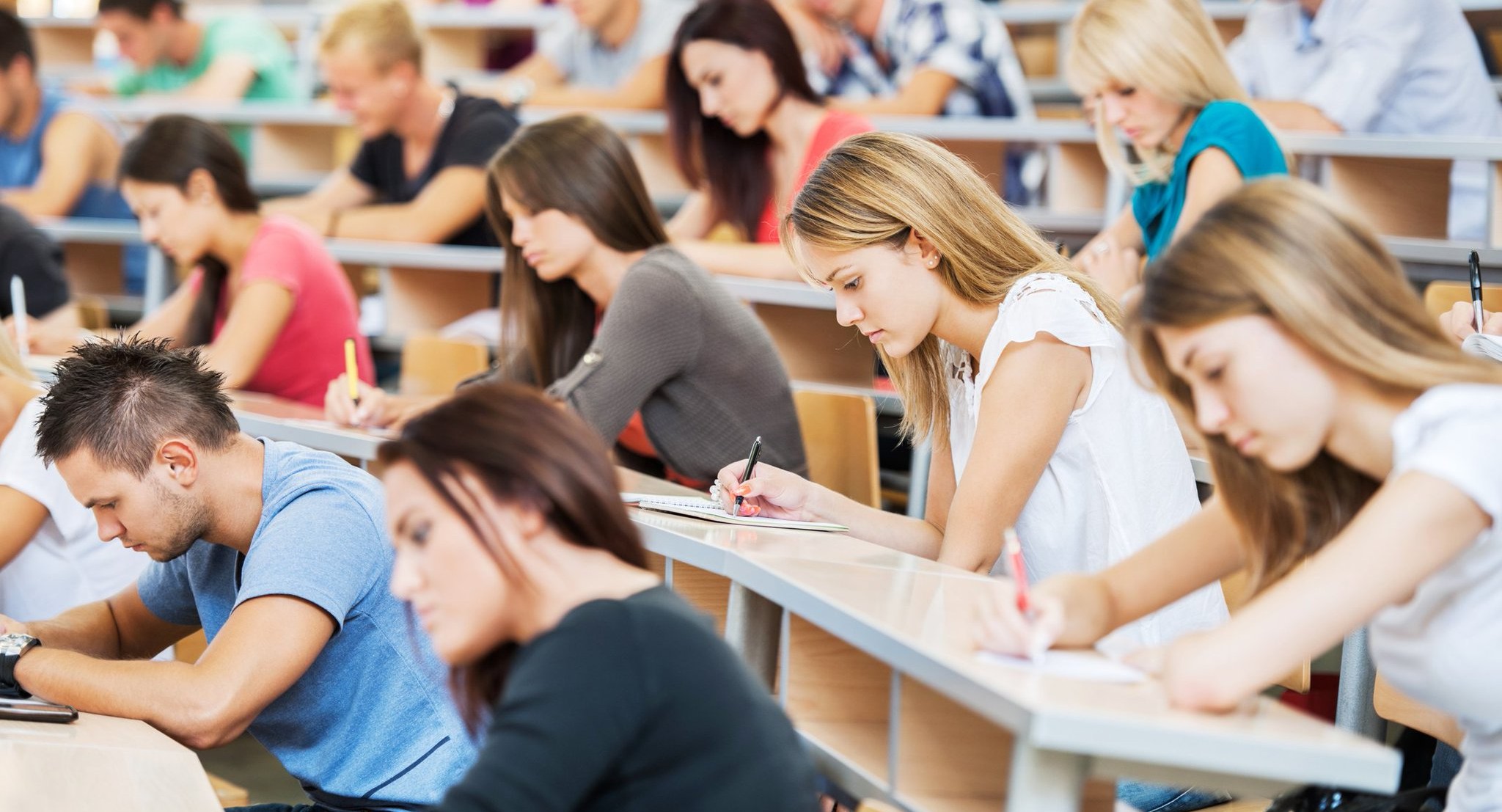 ​Ирина Абанкина: «Качество подготовки зависит от содержания программ, а не от их продолжительности»