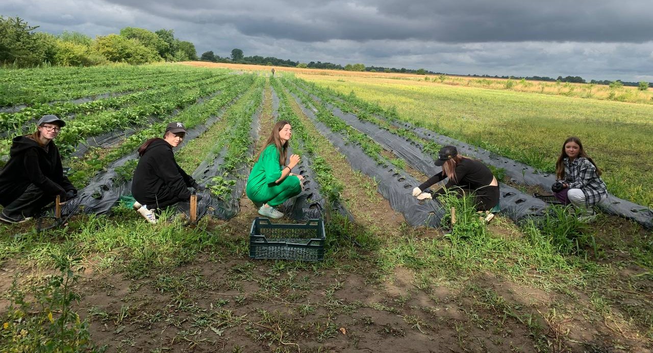 Алексей Голубицкий: «Трудом нельзя наказать, трудом можно только поощрять»