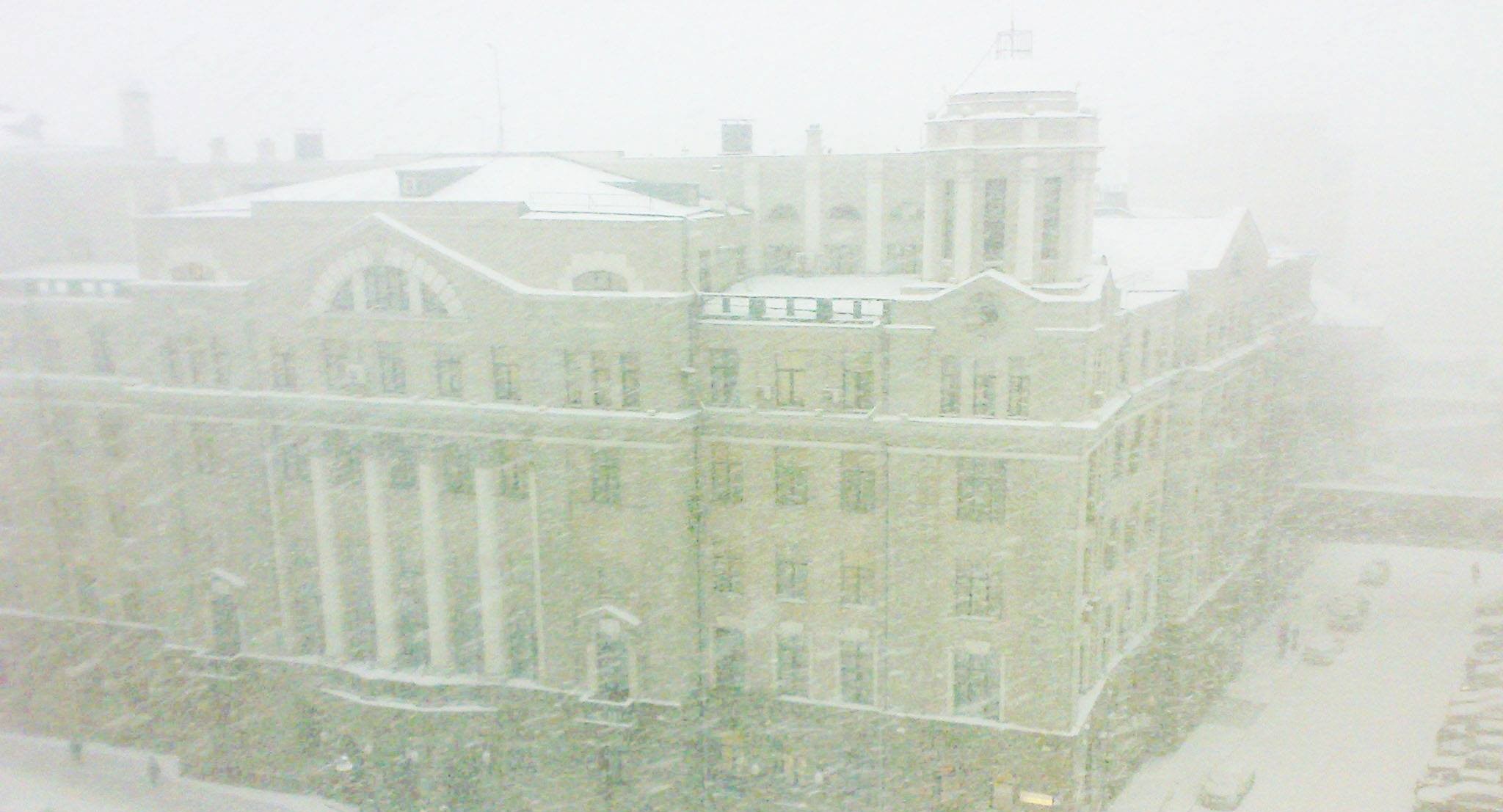 А вы решили, с кем провести зиму? А вы решили, с кем провести зиму?