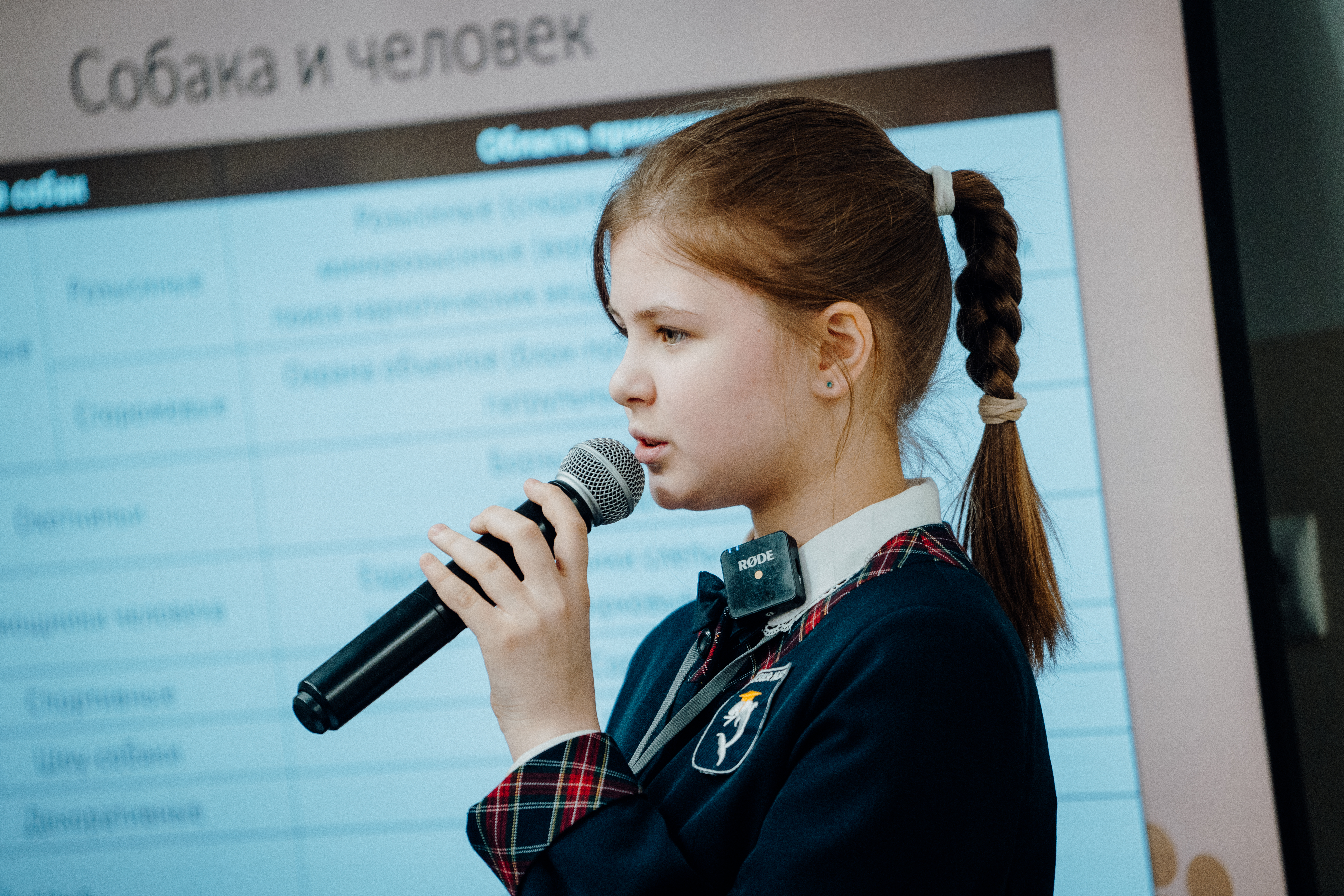 Обои из мусора и компьютерная игра о спасении медвежат: как дети помогают природе и животным