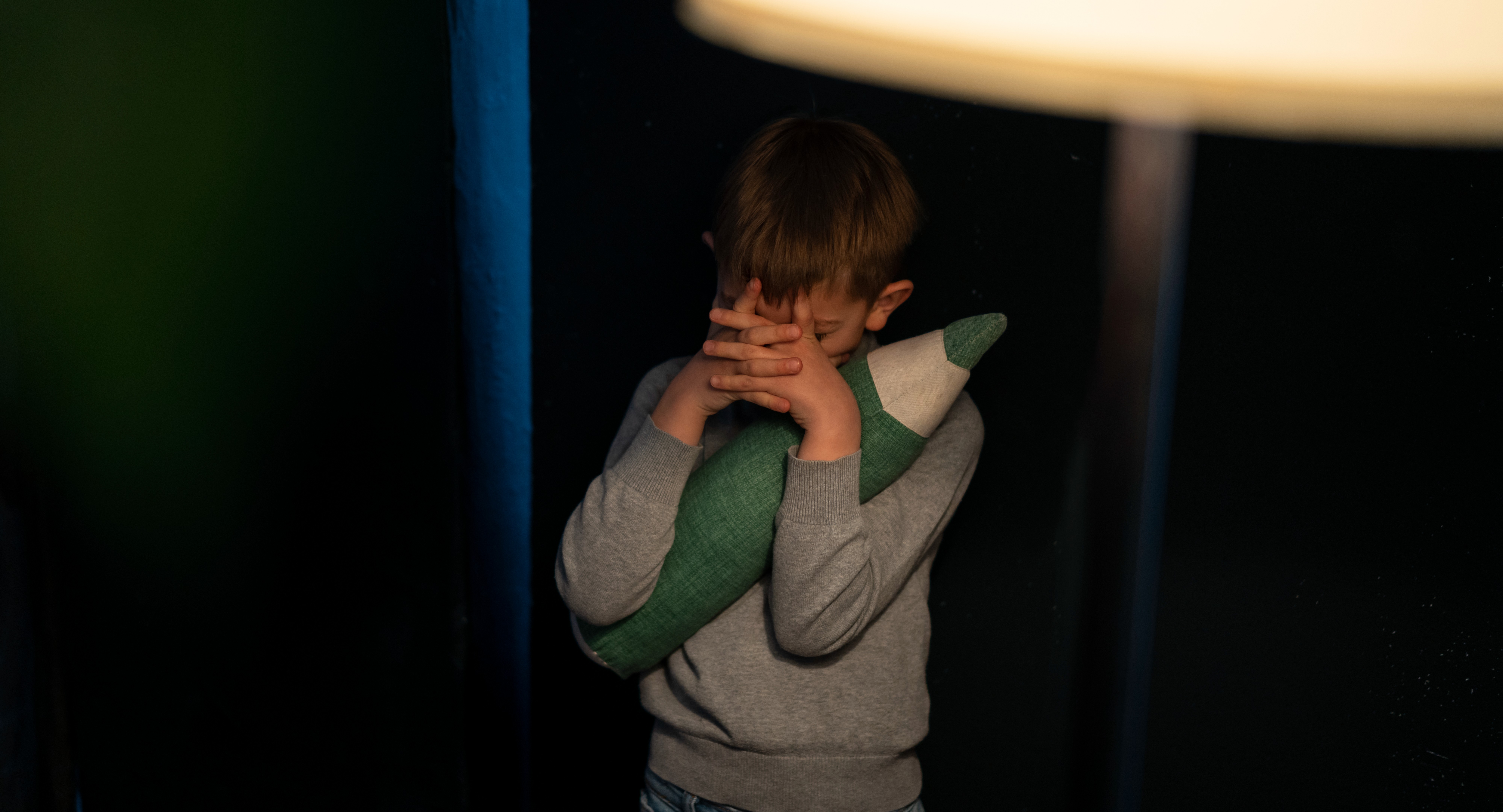 В ЛДПР предложили отменить срок давности по делам о насилии над детьми