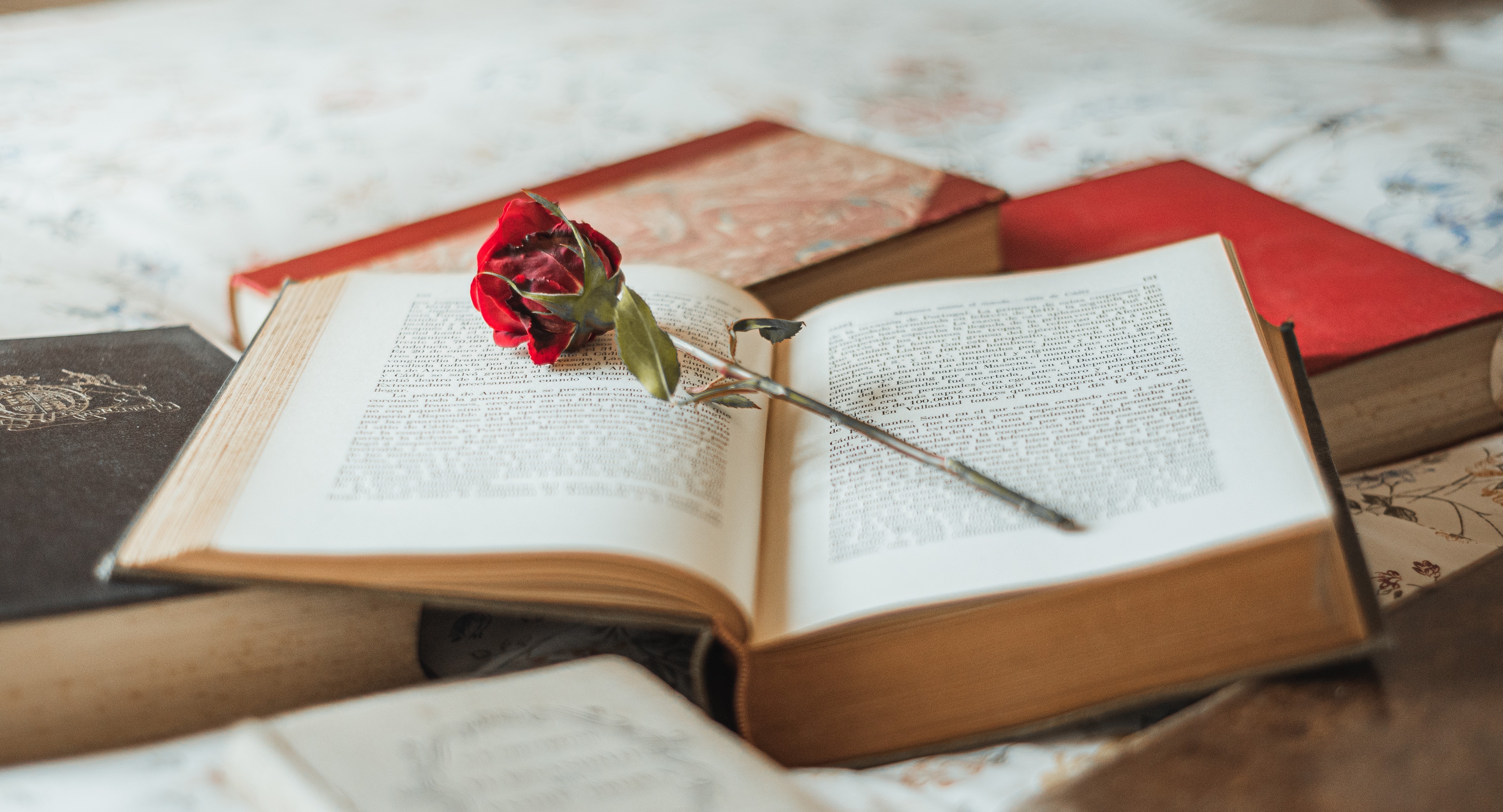 На ЕГЭ-2025 по литературе лучше анализировали прозу, чем лирику