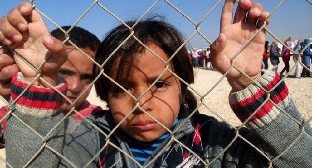 Учителя Италии объявили голодовку в поддержку мигрантов Учителя Италии объявили голодовку в поддержку мигрантов