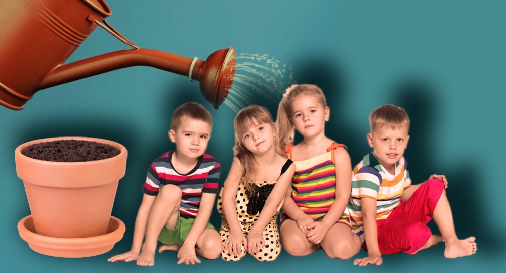 Кедр взошел! Кедр взошел!