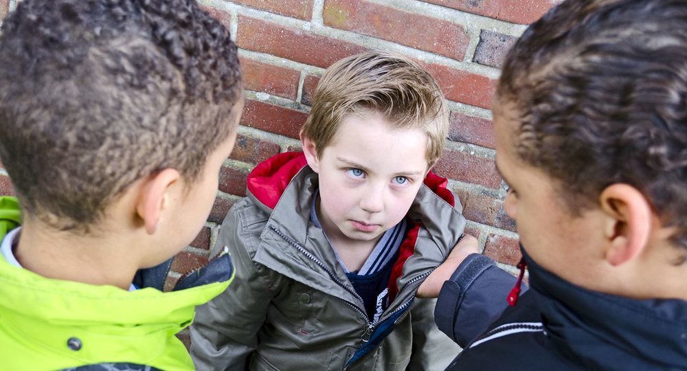 Гены заставляют маленьких детей становиться задирами, заявляют ученые Гены заставляют маленьких детей становиться задирами, заявляют ученые