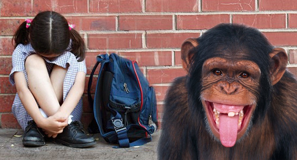 Инстинкт буллинга Инстинкт буллинга