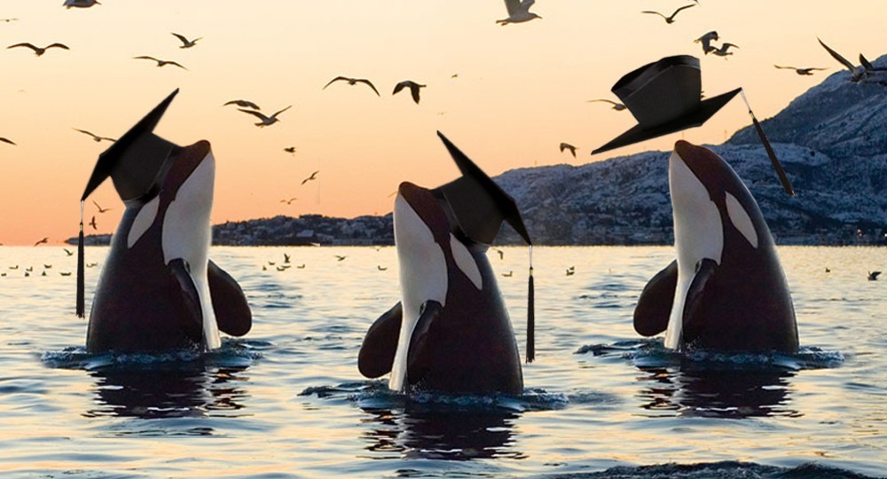 Три кита школы будущего Три кита школы будущего