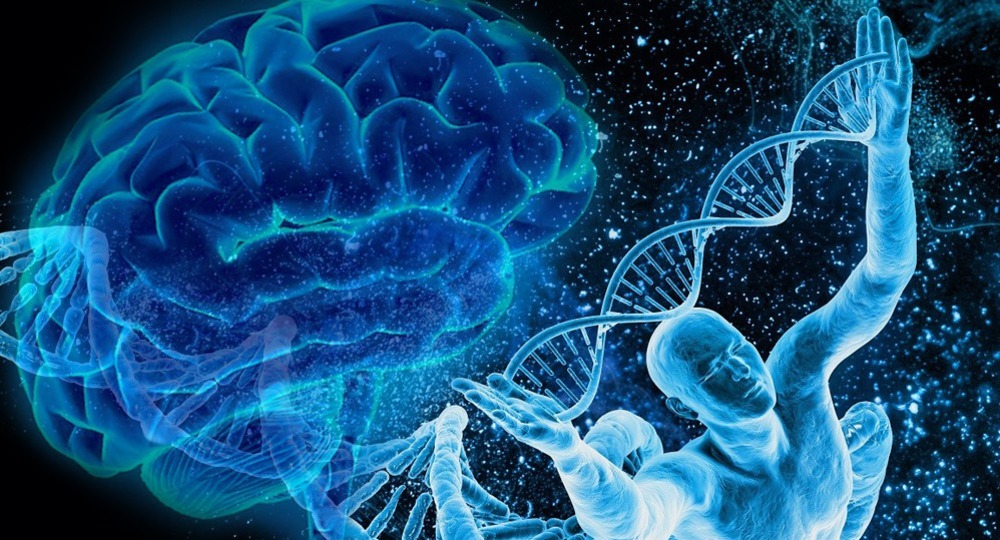 Король умер. Новый король спешит на смену Король умер. Новый король спешит на смену