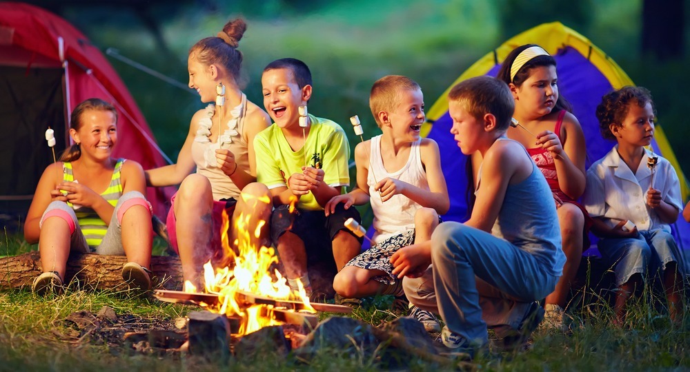 50 000 детских лагерей будут занесены в реестр 50 000 детских лагерей будут занесены в реестр