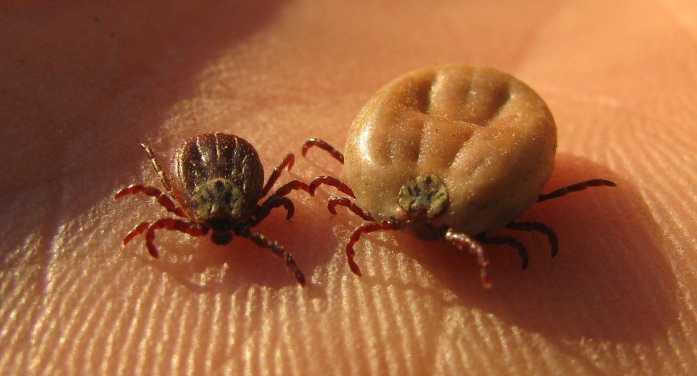 Невидимая угроза Невидимая угроза