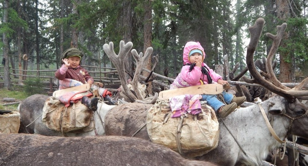 Дети оленеводов будут учиться в мобильных модулях Дети оленеводов будут учиться в мобильных модулях