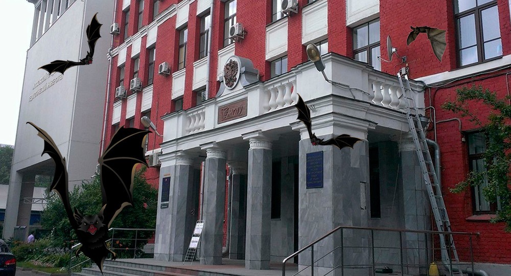 Пятница, 13: МГПУ развеет страхи и суеверия Пятница, 13: МГПУ развеет страхи и суеверия