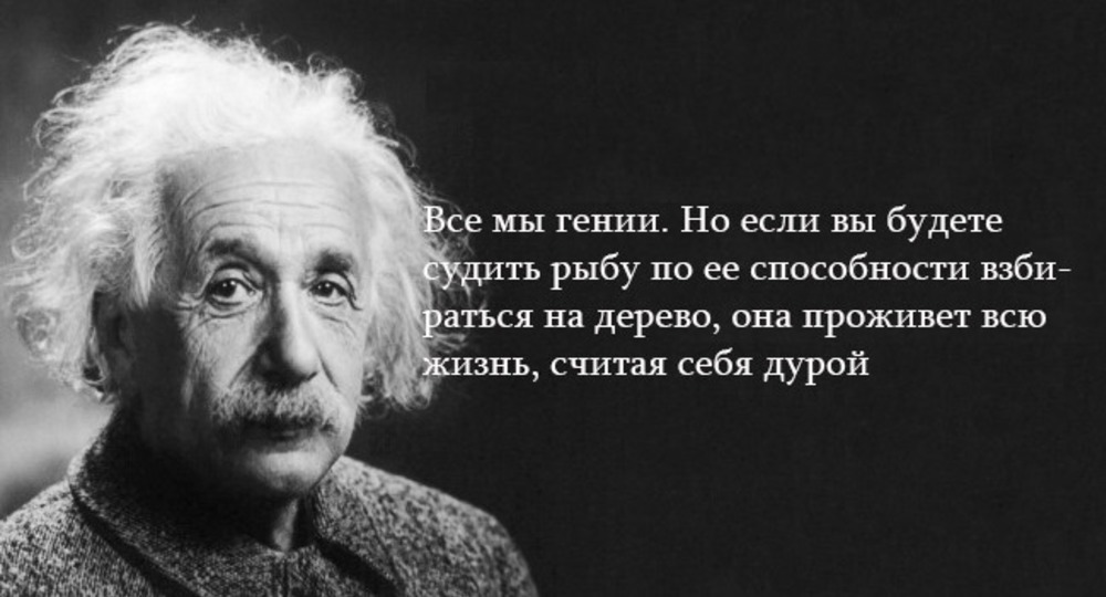 Изобретателю не до пятерок Изобретателю не до пятерок