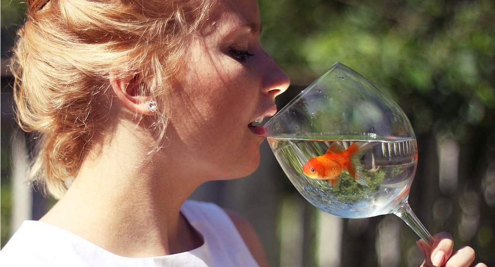 Как посвящают в студенты в разных странах Как посвящают в студенты в разных странах