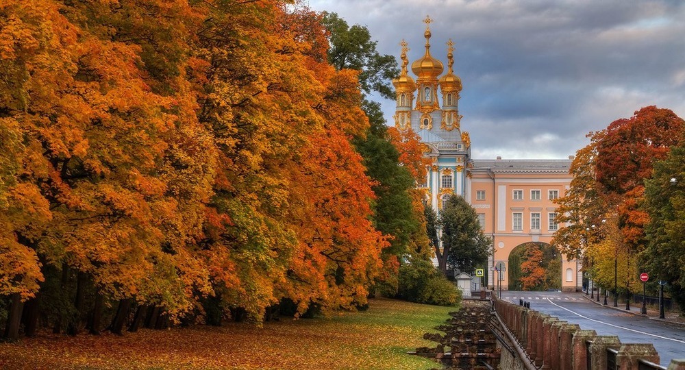 Центр управления поиском смысла Центр управления поиском смысла