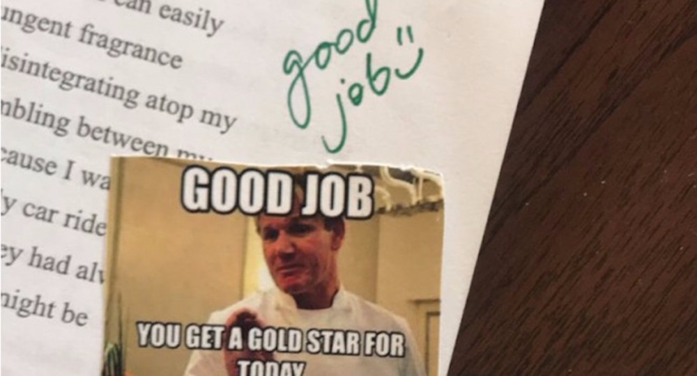 Вместо оценок – мемы Вместо оценок – мемы