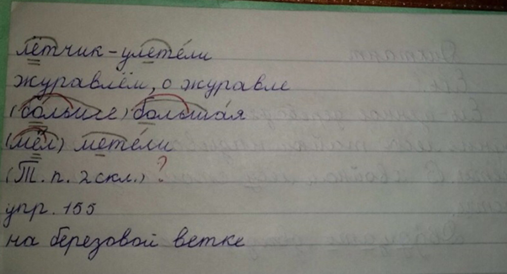 Родителей озерского школьника удивили претензии учителя Родителей озерского школьника удивили претензии учителя