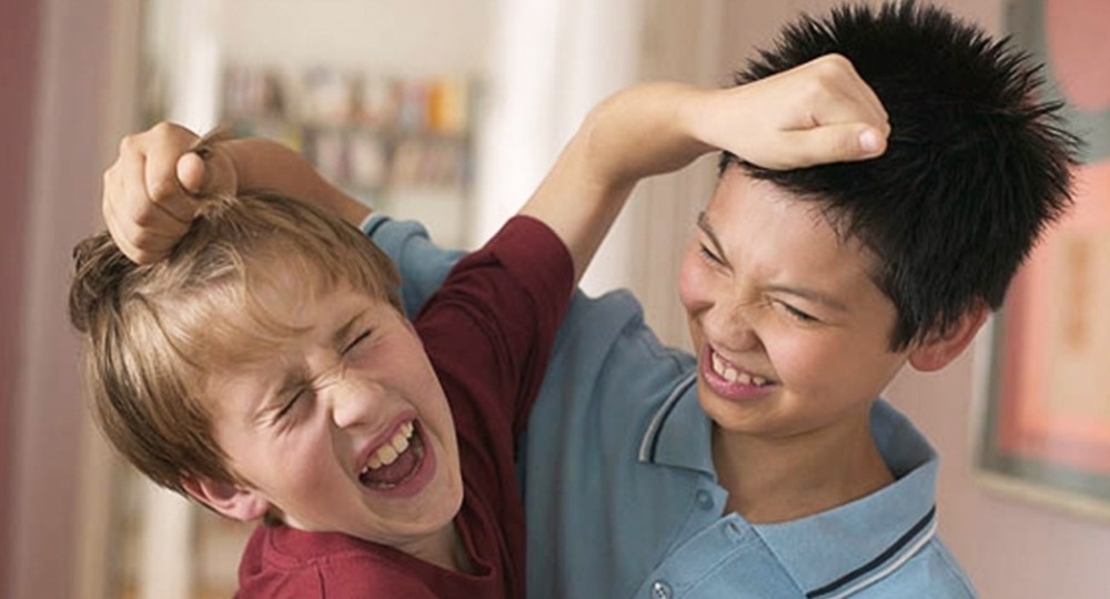 Жизнь без драки: 8 советов для родителей Жизнь без драки: 8 советов для родителей