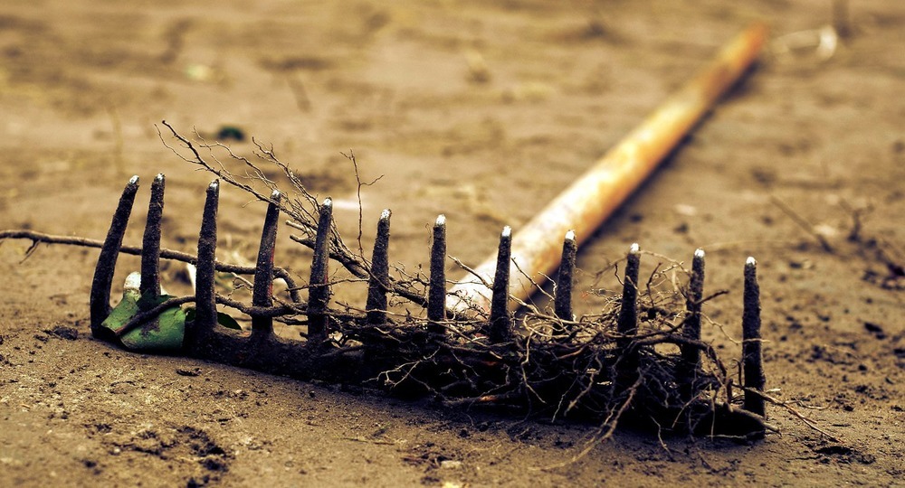 Грабли единомыслия Грабли единомыслия