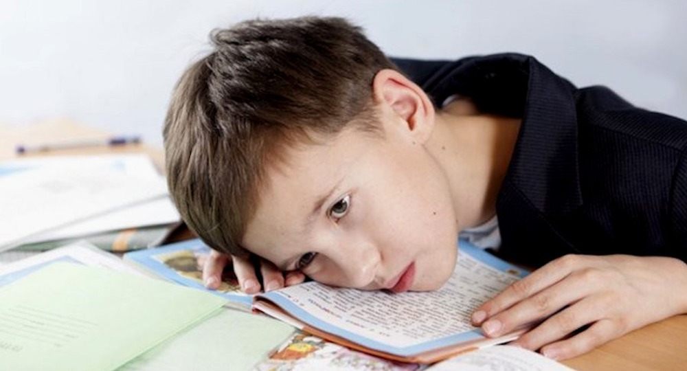 Министерство образования Калужской области выступило за дозировку домашних заданий