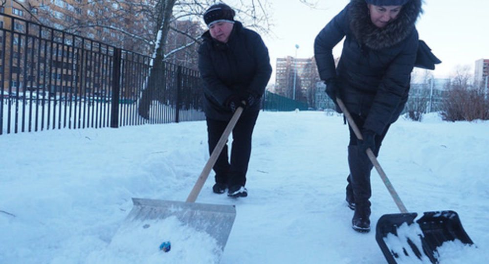 Петербургских учителей призвали выйти на субботник и убрать снег Петербургских учителей призвали выйти на субботник и убрать снег