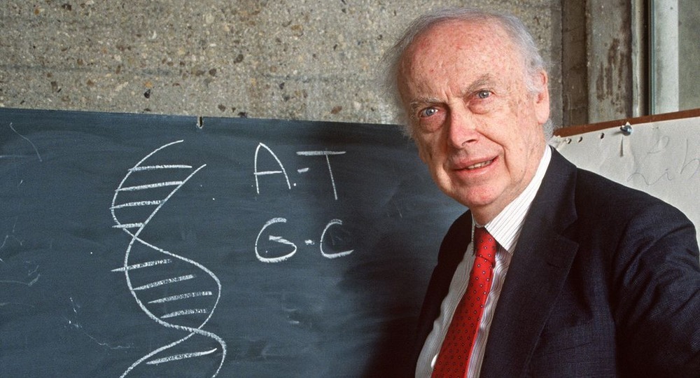 Нобелевский лауреат Джеймс Уотсон лишен всех почетных званий Нобелевский лауреат Джеймс Уотсон лишен всех почетных званий