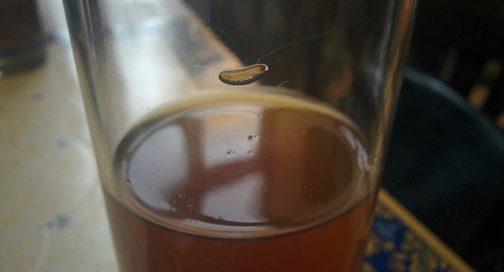 Уральским школьникам в столовой выдали компот с червями Уральским школьникам в столовой выдали компот с червями