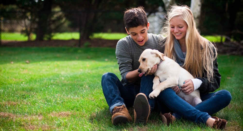В британских школах могут появиться собаки-компаньоны В британских школах могут появиться собаки-компаньоны