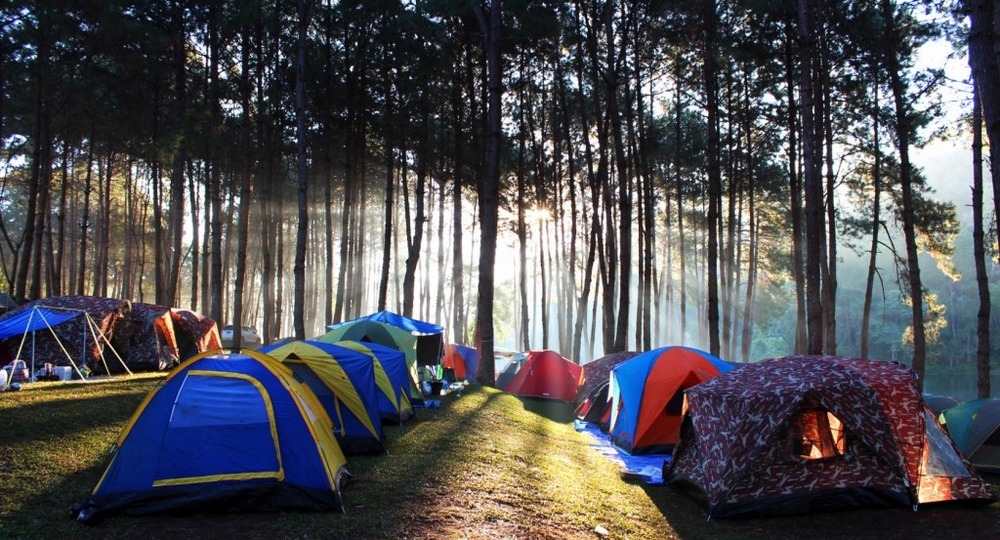 Ольга Васильева предложила сокращать число летних городских лагерей Ольга Васильева предложила сокращать число летних городских лагерей