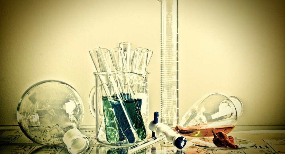 Татьяна Голикова назвала самые популярные предметы у выпускников на ЕГЭ