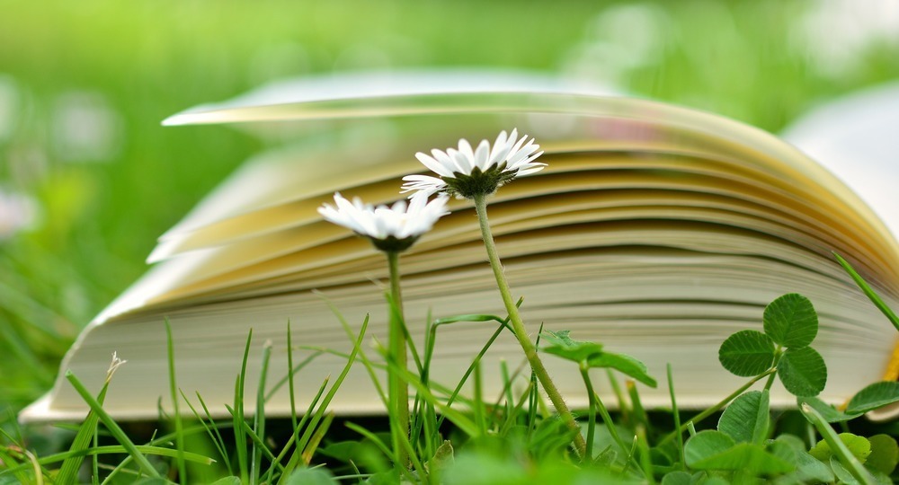 Знойное чтение