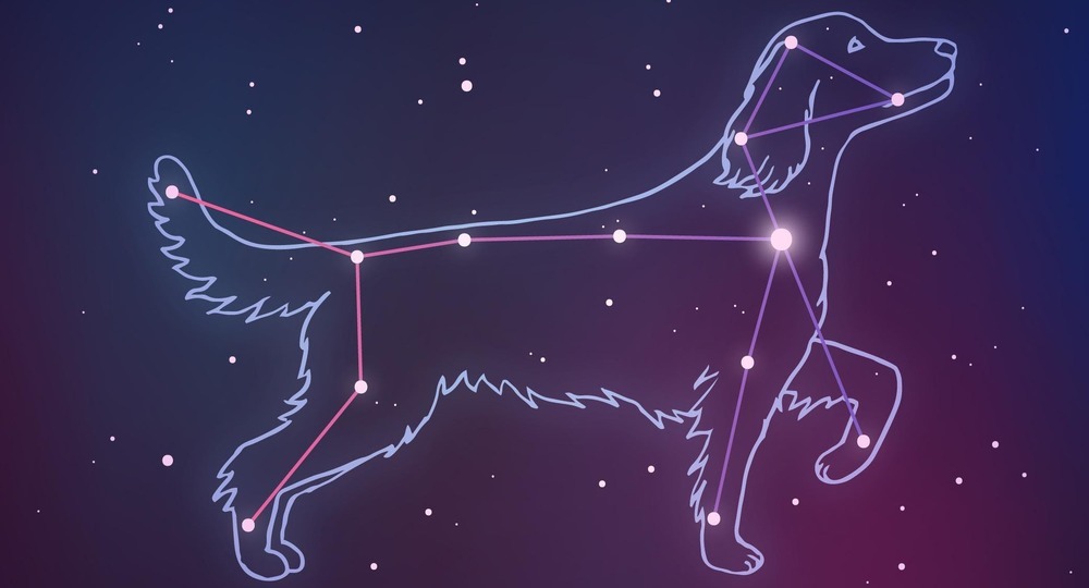 «Собачьи дни»: откуда взялись каникулы