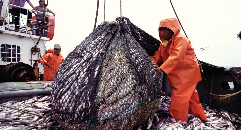 Названа самая высокооплачиваемая вакансия в России