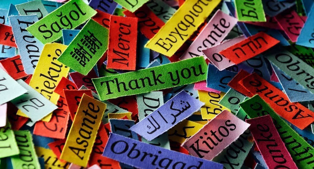 ВЦИОМ: свободным владением английского могут похвастаться только 5% россиян ВЦИОМ: свободным владением английского могут похвастаться только 5% россиян