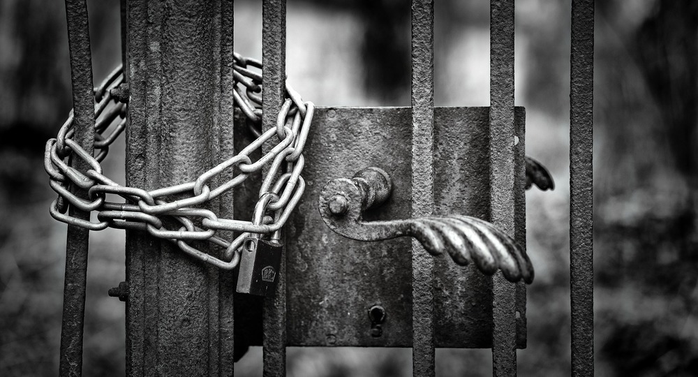 Хроника выживания авторской школы Щетинина Хроника выживания авторской школы Щетинина