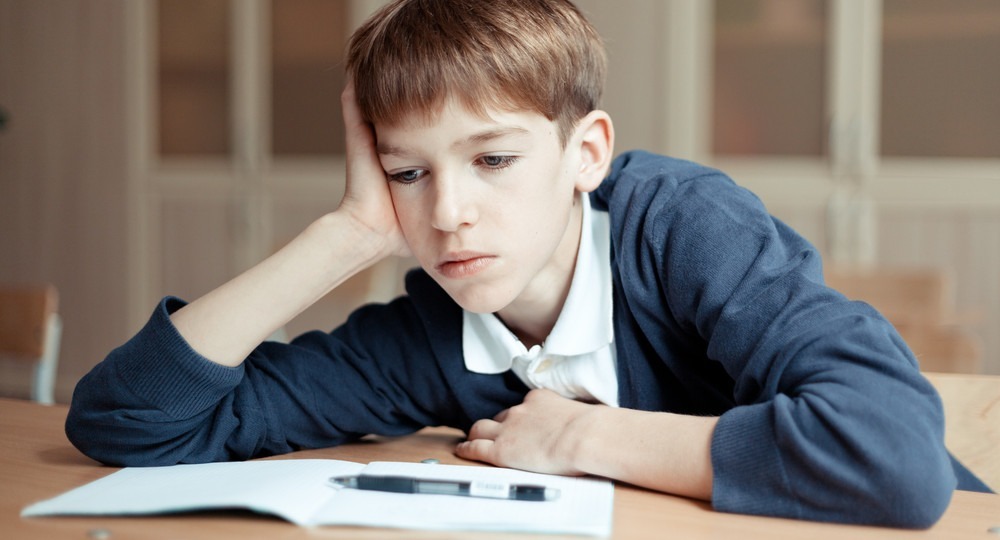 Названы способы повысить интерес школьников к обучению Названы способы повысить интерес школьников к обучению