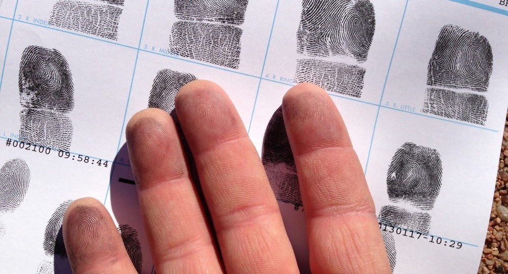 Отпечатки, отпечатки! Какие отпечатки?