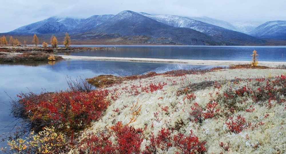 Дальневосточникам предлагают вернуть прежний возраст выхода на пенсию Дальневосточникам предлагают вернуть прежний возраст выхода на пенсию