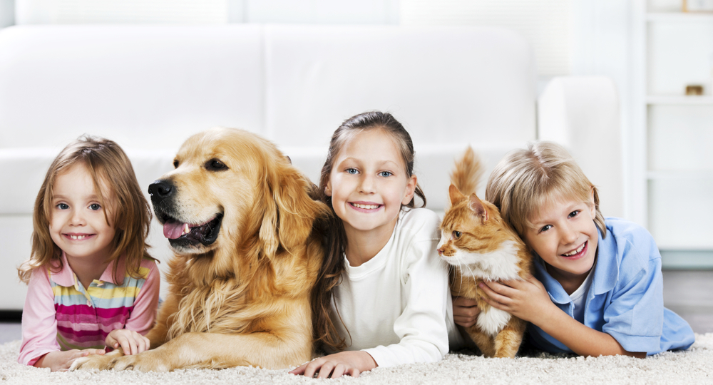 В Италии хотят приравнять права питомцев к правам детей В Италии хотят приравнять права питомцев к правам детей