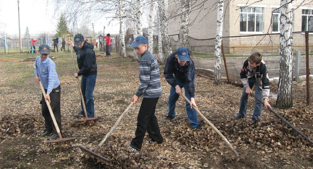 Прокуратура признала нарушением уборку школ детскими трудотрядами Прокуратура признала нарушением уборку школ детскими трудотрядами