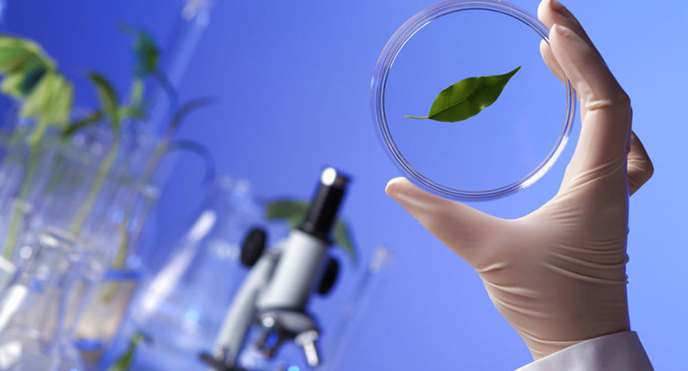 Что должен уметь тот, кто сдает ЕГЭ по биологии