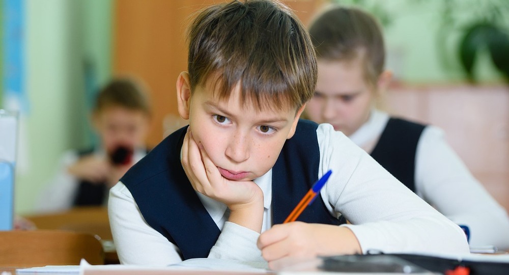 Принятие некачественнах образовательных стандартов – большой риск для России